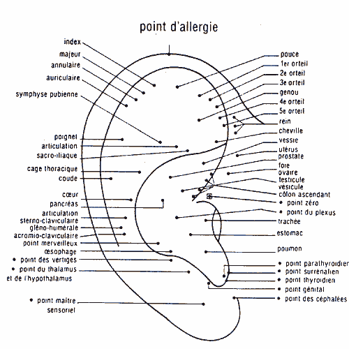 oreille_ponts