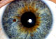 oeil2_b