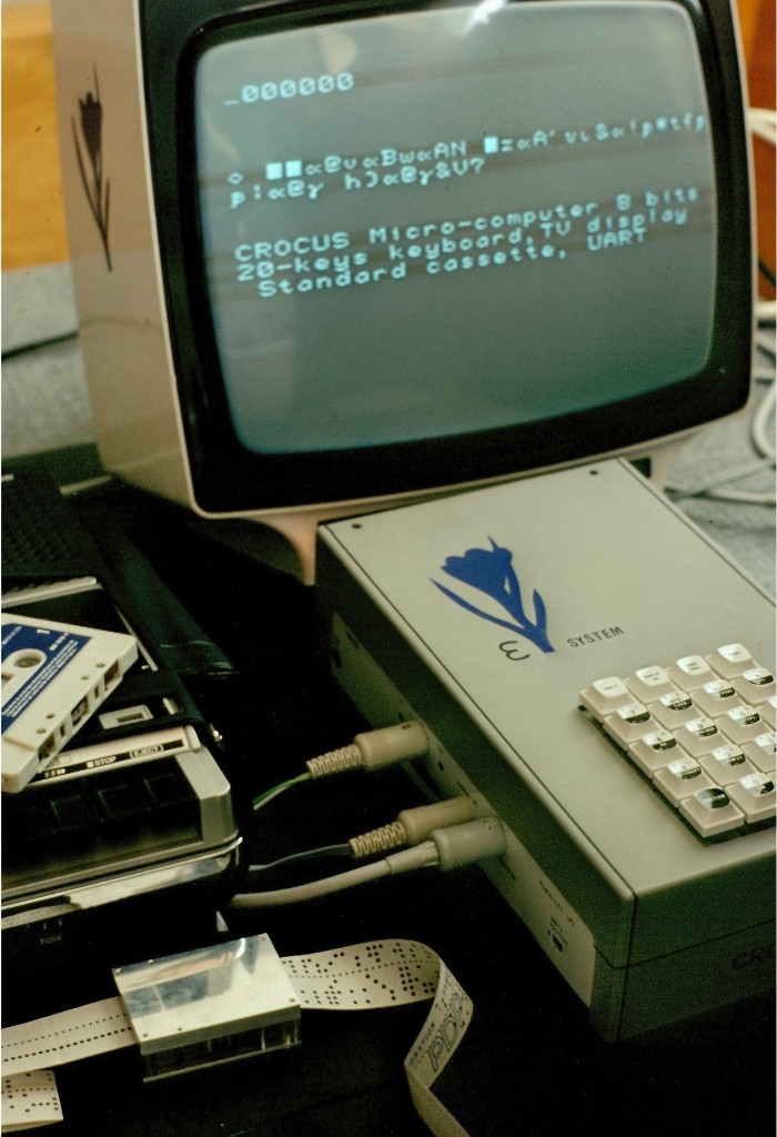 197702_Crocus (1)