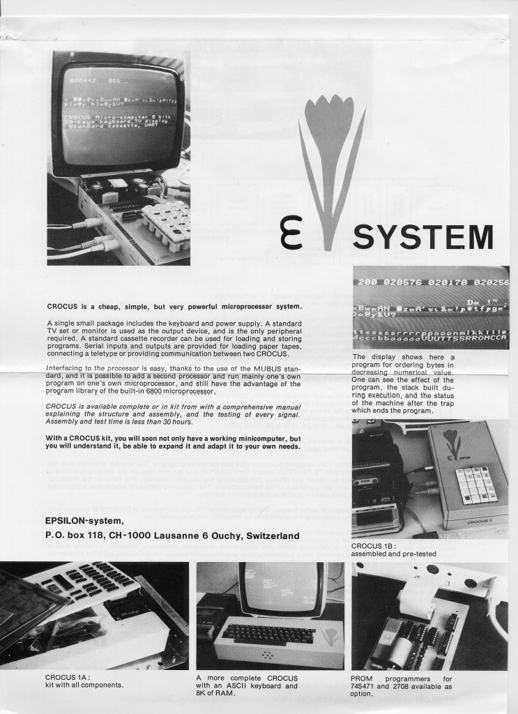 197702_Crocus (2)