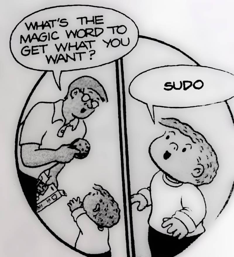 sudo is the magic word